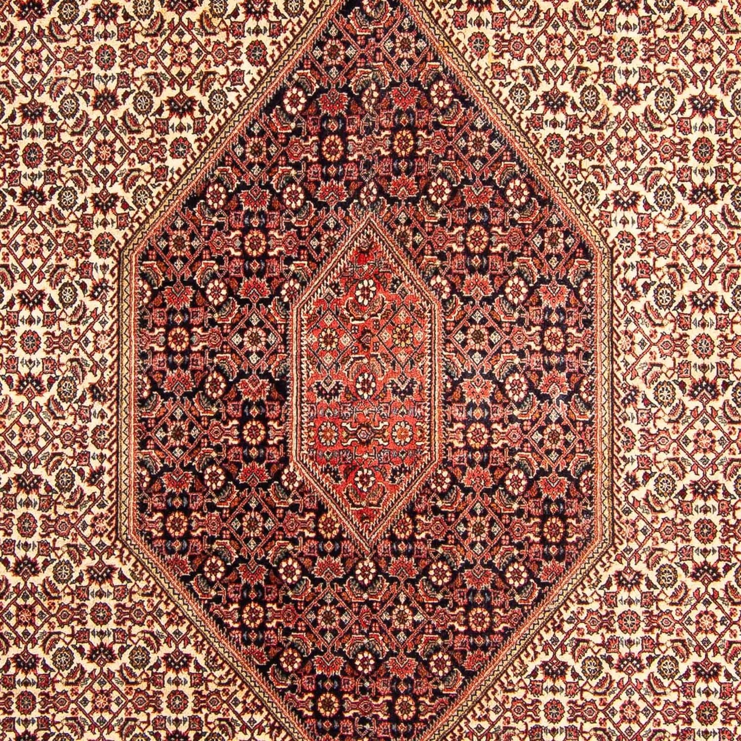 Alfombra persa - Bidjar - 312 x 172 cm - rojo claro