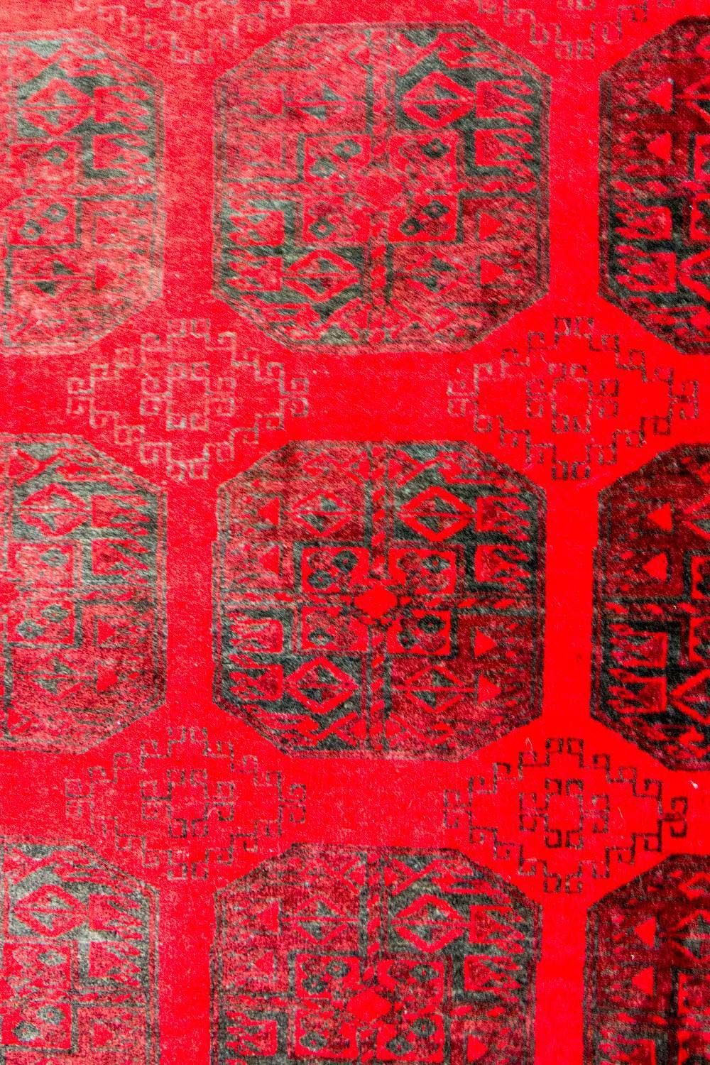 Alfombra afgana - Bukhara - 292 x 203 cm - rojo