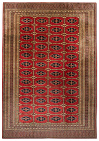 Alfombra afgana - Bukhara - 292 x 188 cm - rojo