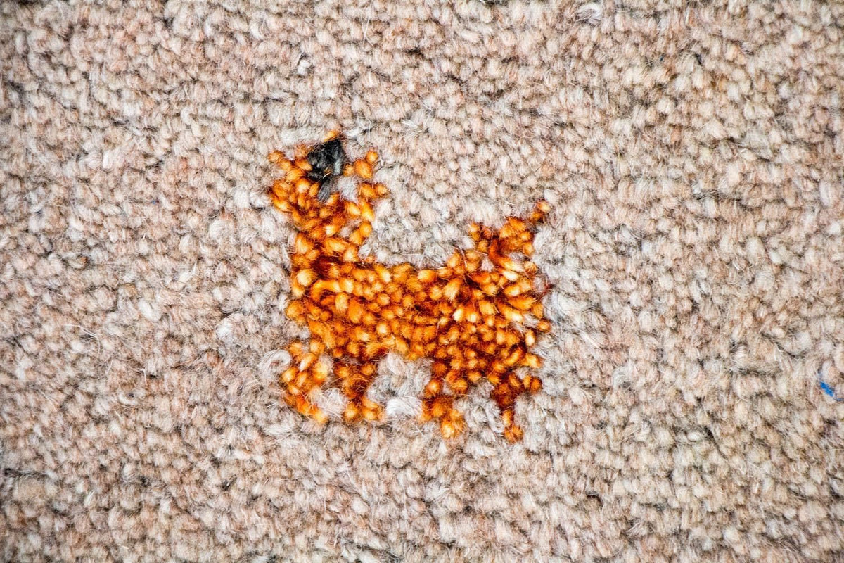 Alfombra Gabbeh - Indus - 200 x 140 cm - marrón