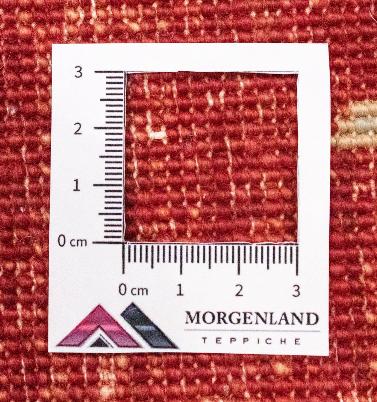 Alfombra de pasillo Alfombra Ziegler - 301 x 82 cm - rojo