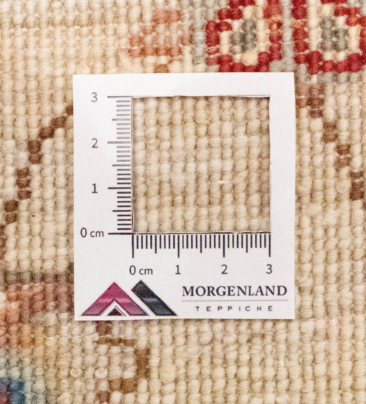 Alfombra de pasillo Alfombra Ziegler - 259 x 79 cm - beige