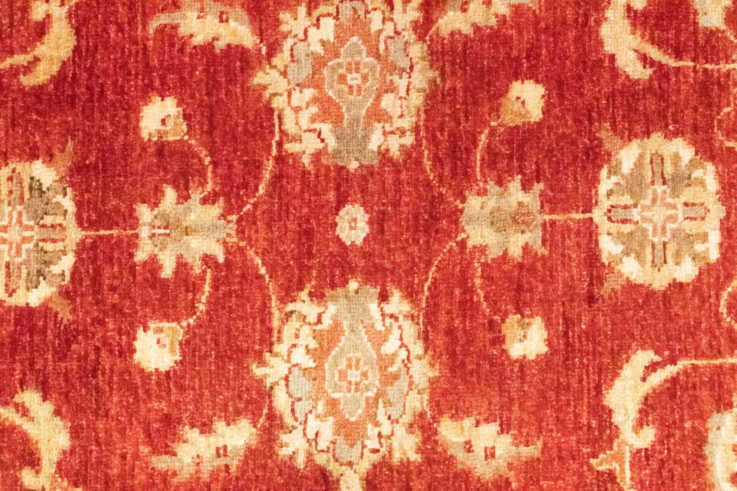Alfombra de pasillo Alfombra Ziegler - 252 x 83 cm - rojo