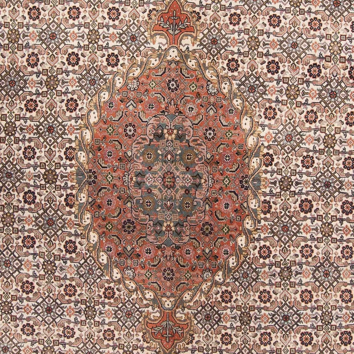 Alfombra oriental - Bidjar - Indus - 338 x 243 cm - beige