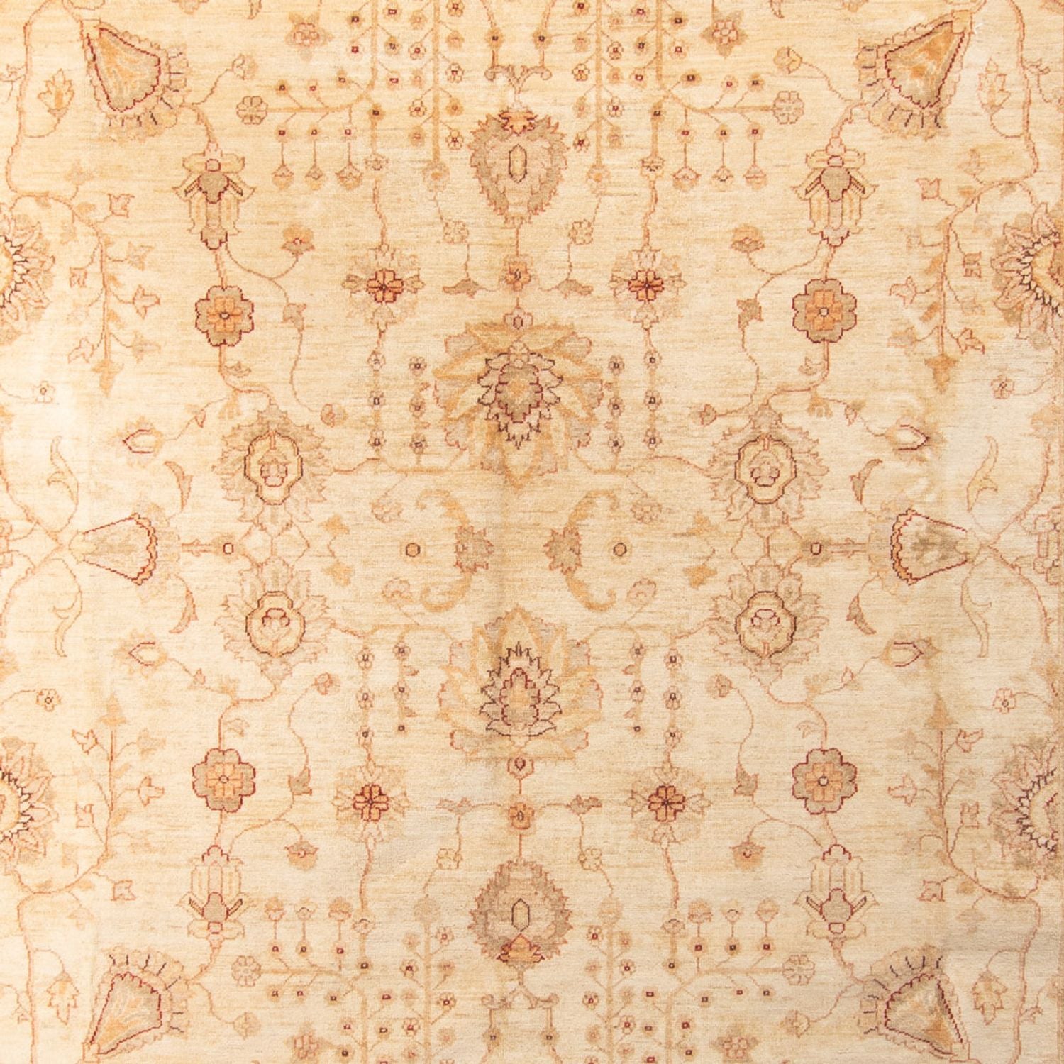 Alfombra Ziegler - 406 x 288 cm - beige