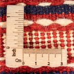 Alfombra de pasillo Alfombra Kelim - Oriental - 200 x 70 cm - multicolor