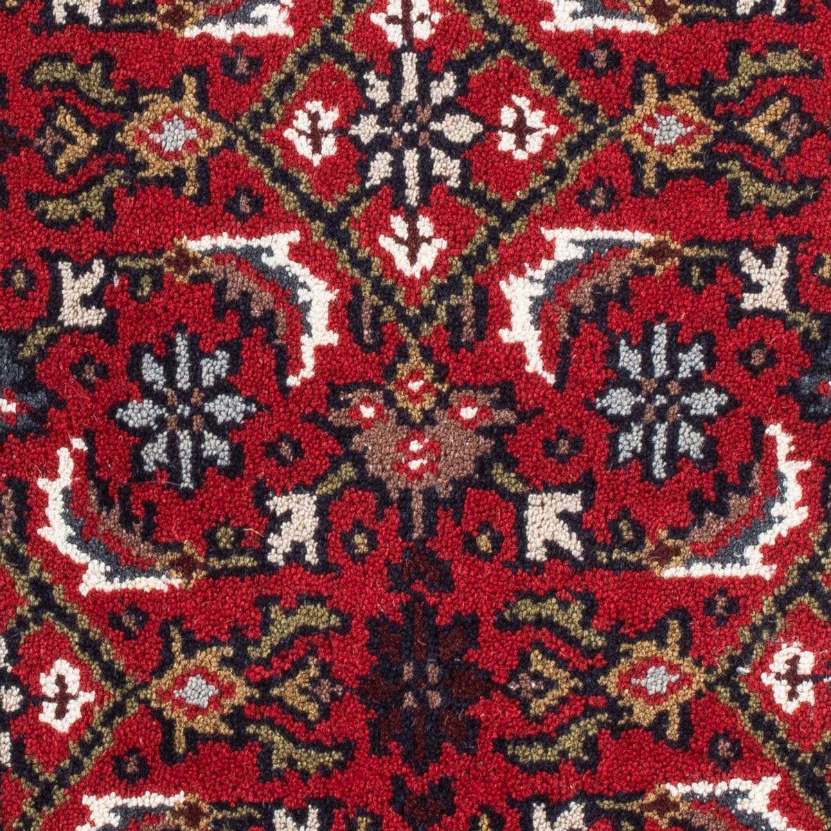 Alfombra oriental - Bidjar - Indus - 90 x 60 cm - rojo