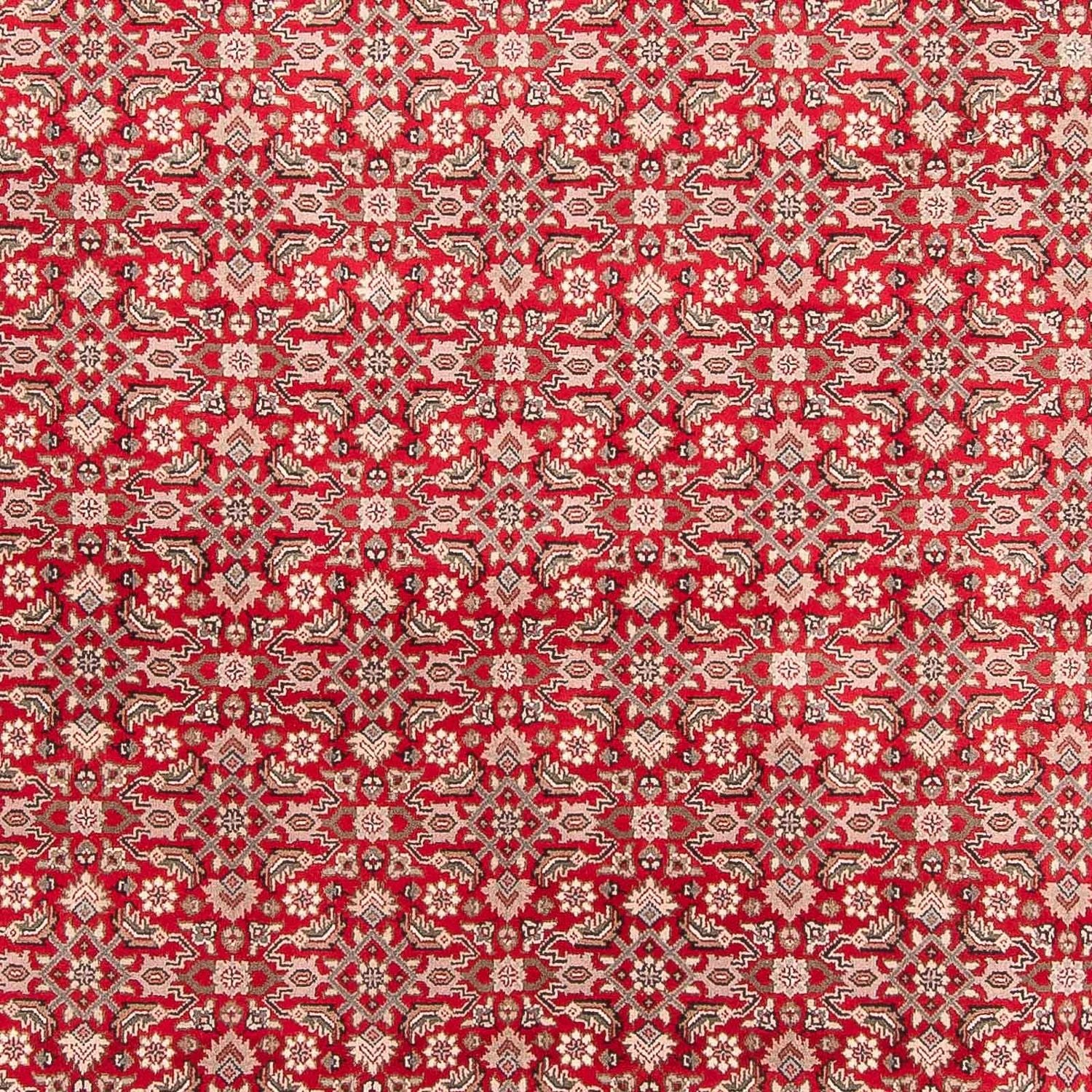 Alfombra oriental - Bidjar - Indus - 352 x 237 cm - rojo