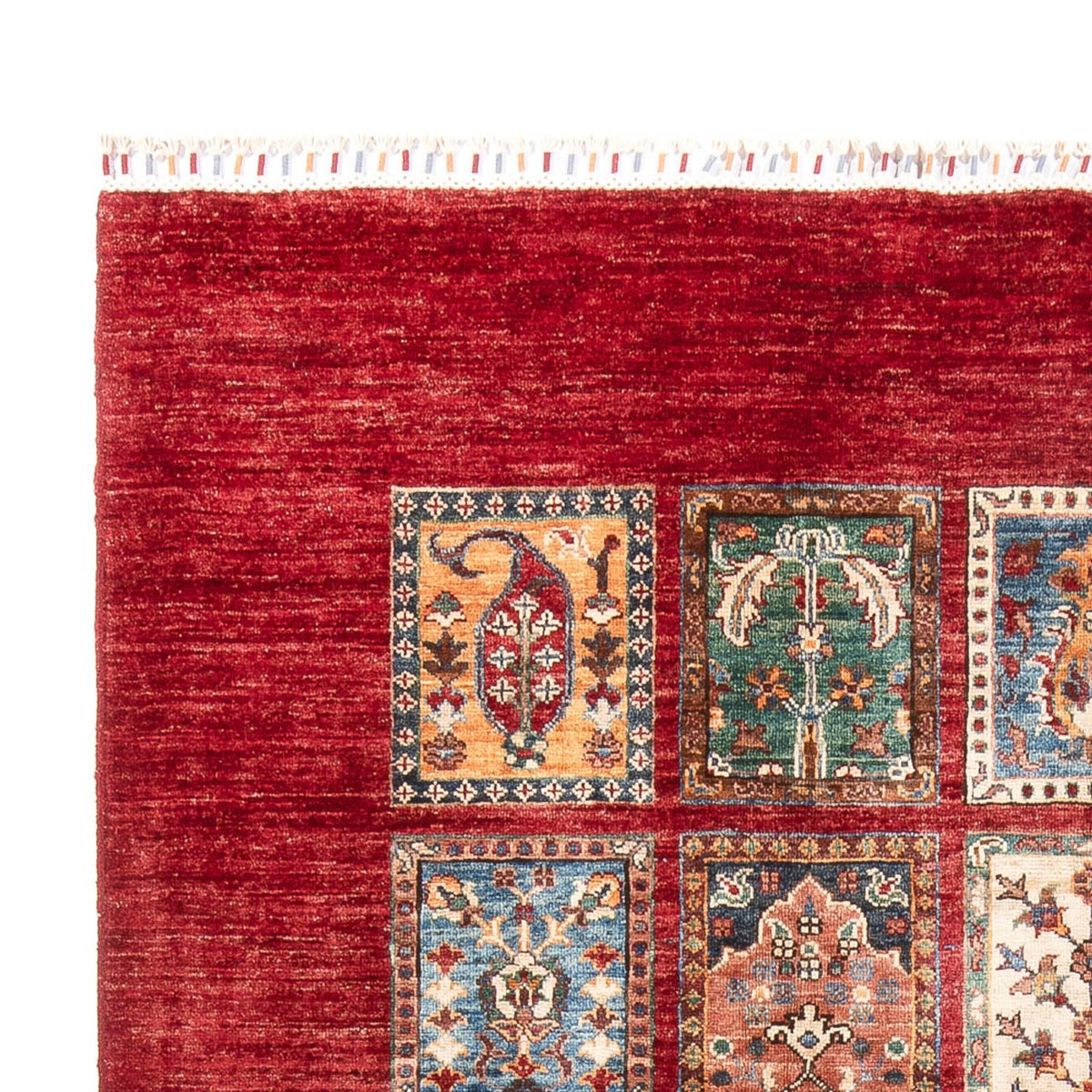 Bakhtiari Alfombra 175x250cm - Alfombra oriental