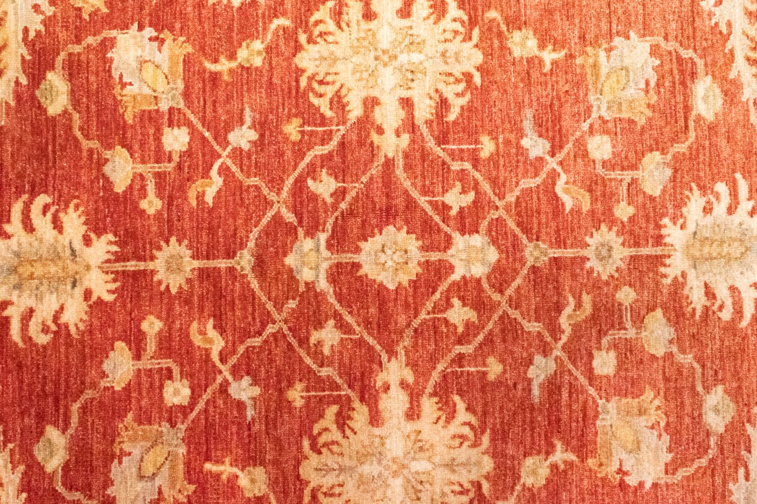 Alfombra Ziegler - 230 x 174 cm - naranja