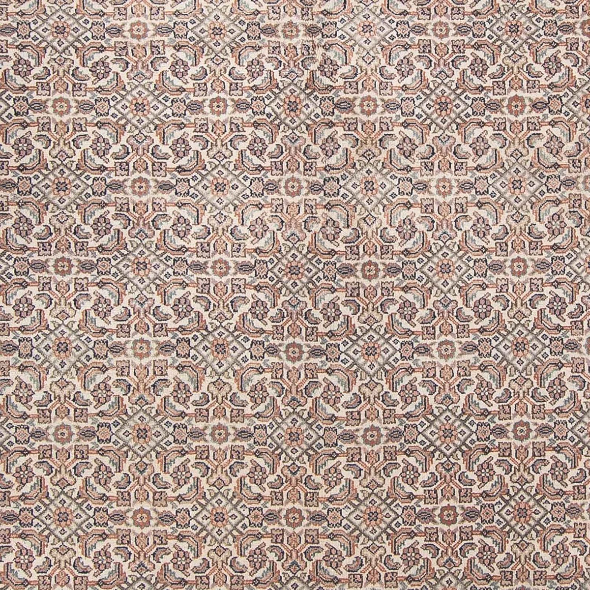 Alfombra oriental - Bidjar - Indus - 303 x 244 cm - beige
