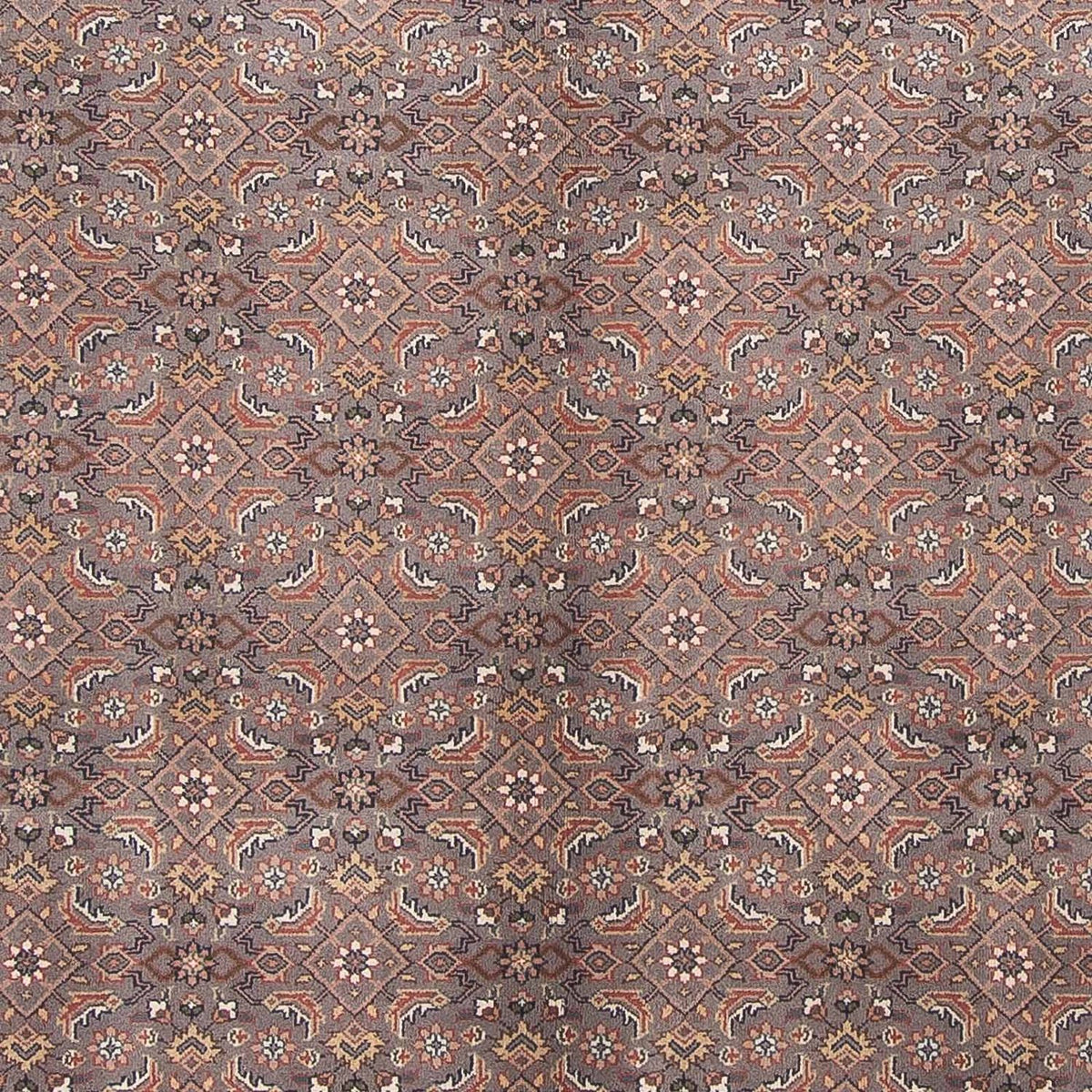 Alfombra oriental - Bidjar - Indus - 299 x 248 cm - marrón oscuro