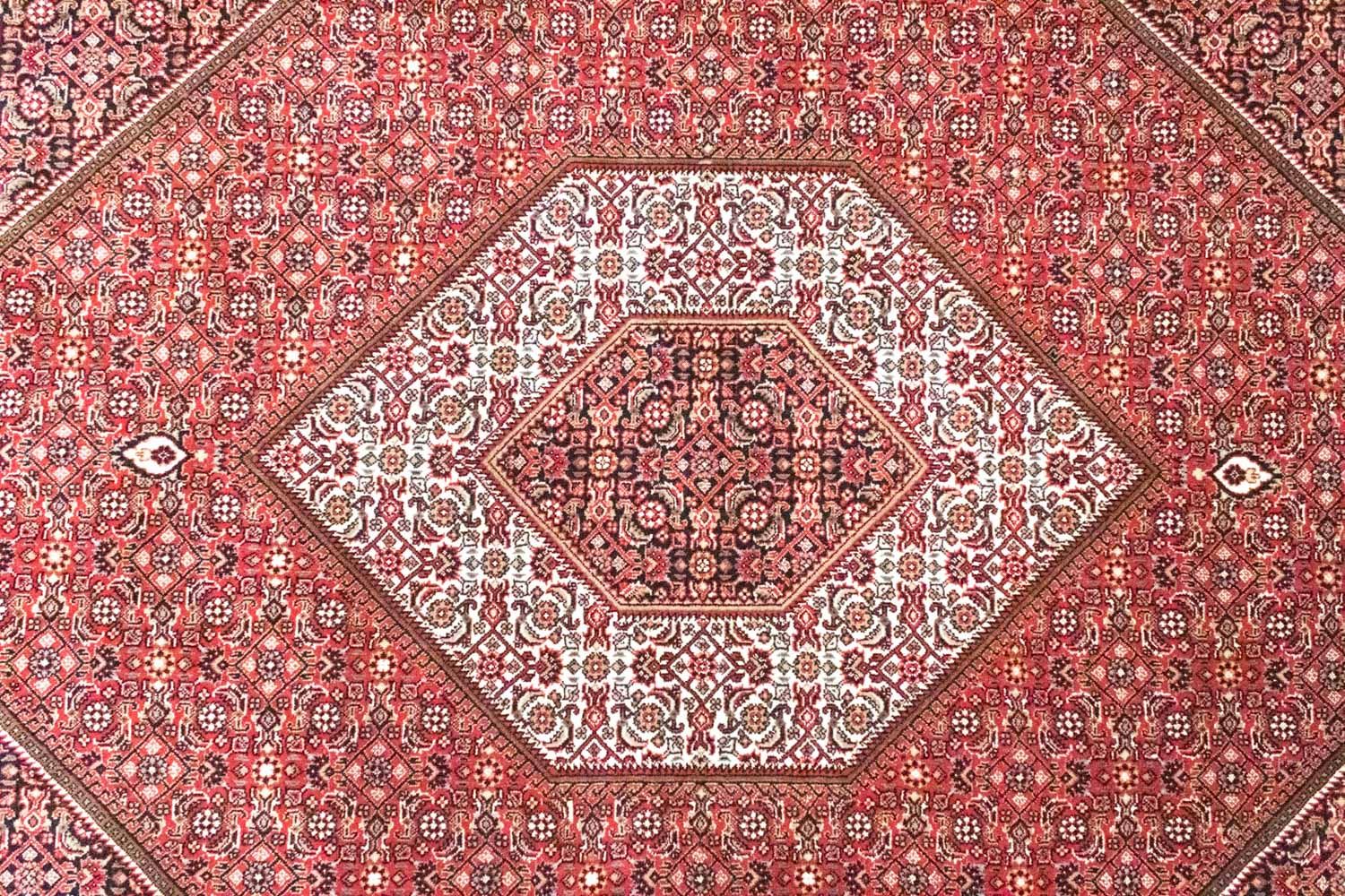 Alfombra persa - Bidjar - 286 x 208 cm - rojo
