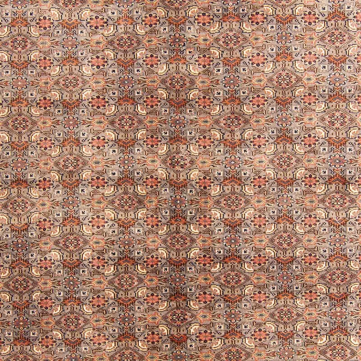 Alfombra oriental - Bidjar - Indus - 233 x 181 cm - multicolor