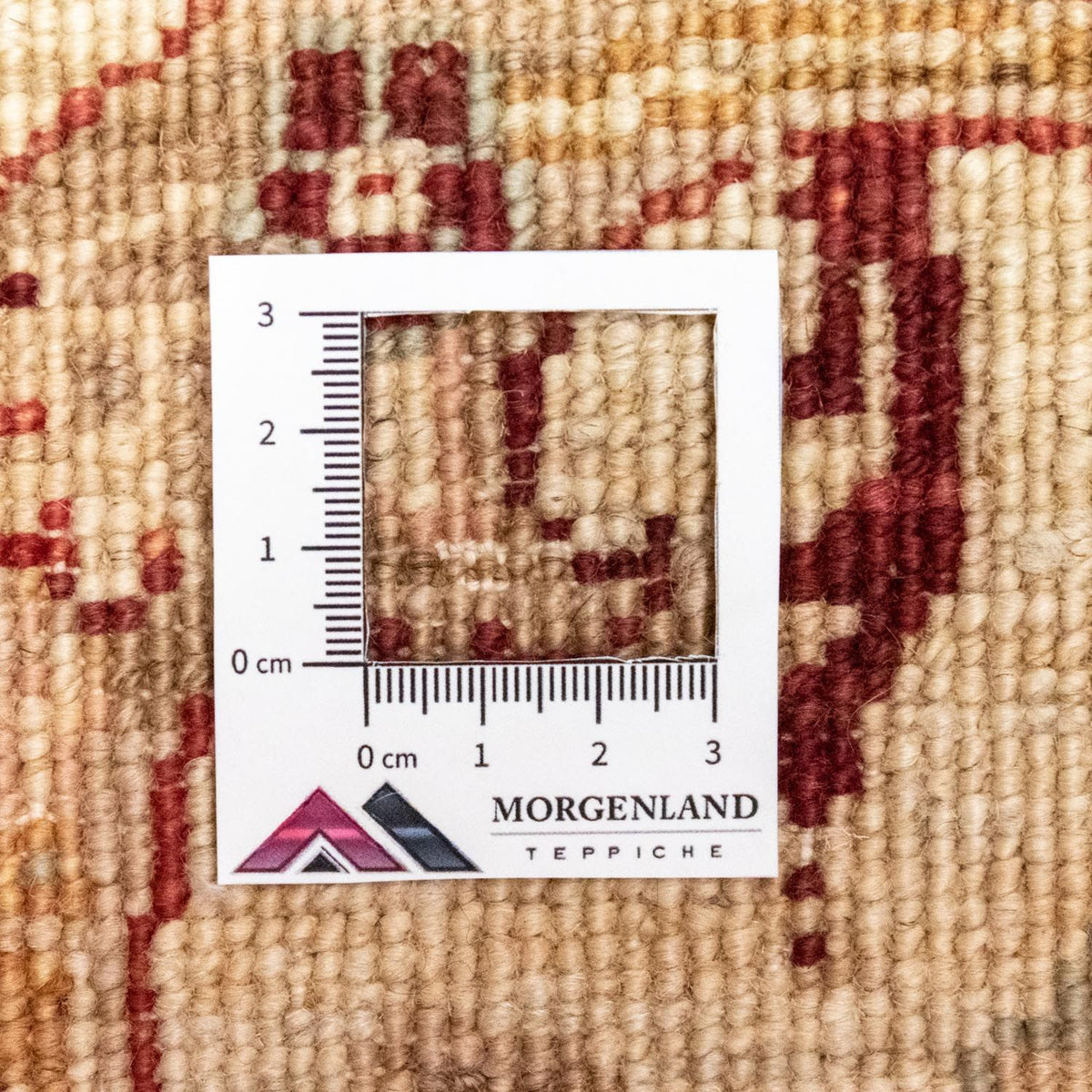 Alfombra Ziegler - 247 x 166 cm - rojo