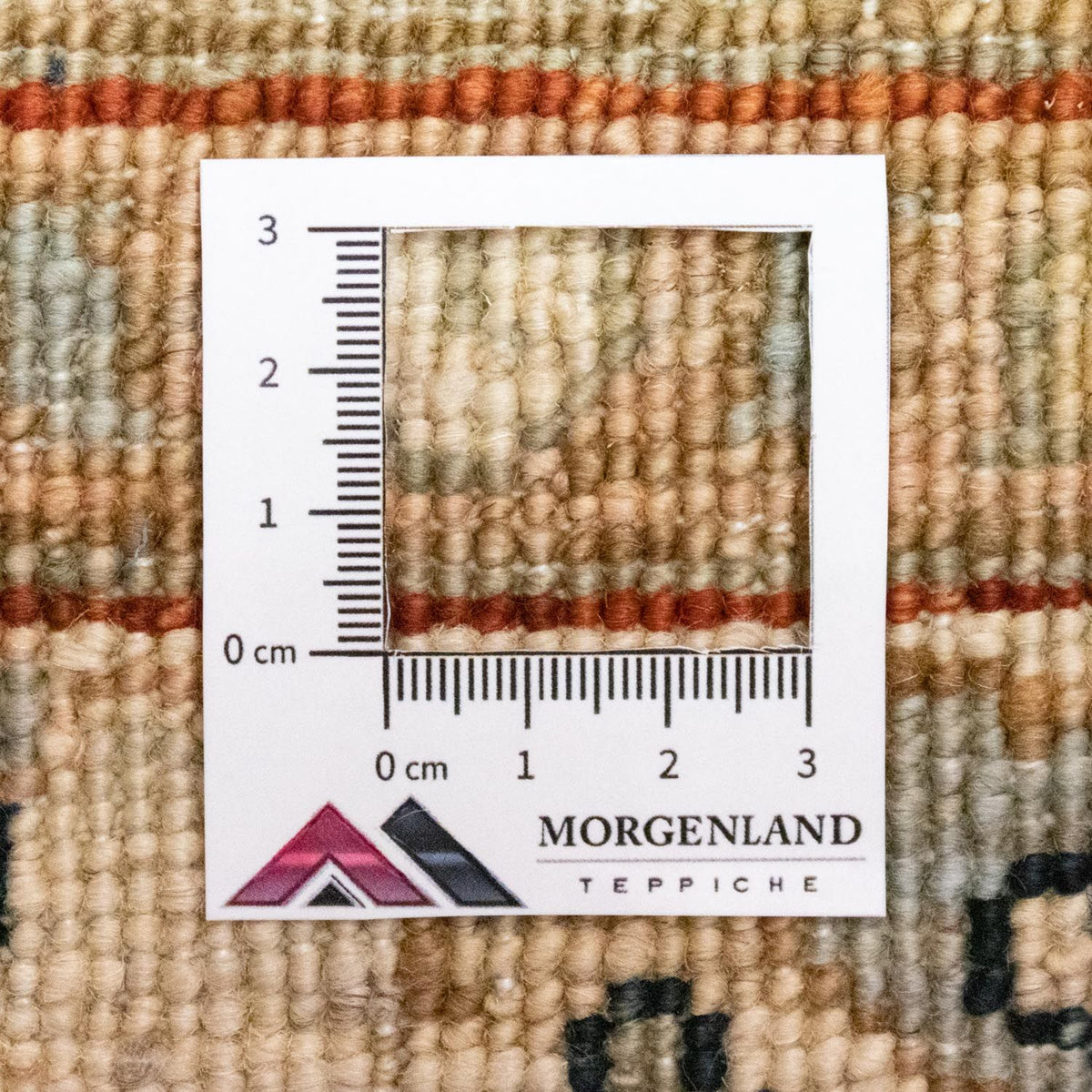 Alfombra Ziegler - 258 x 173 cm - azul