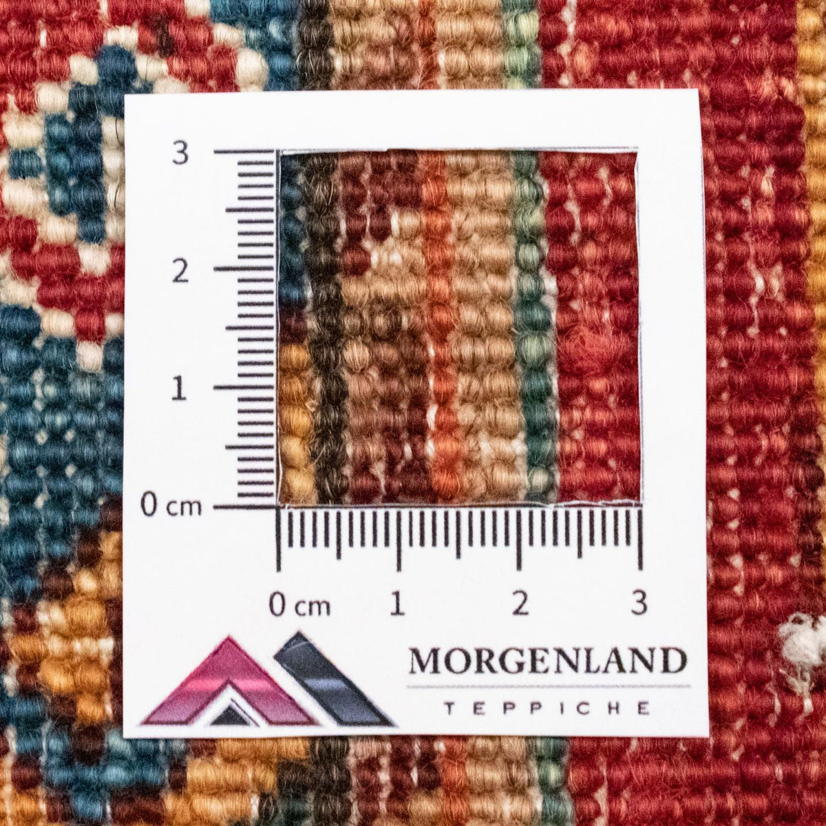 Alfombra Ziegler - 243 x 170 cm - multicolor