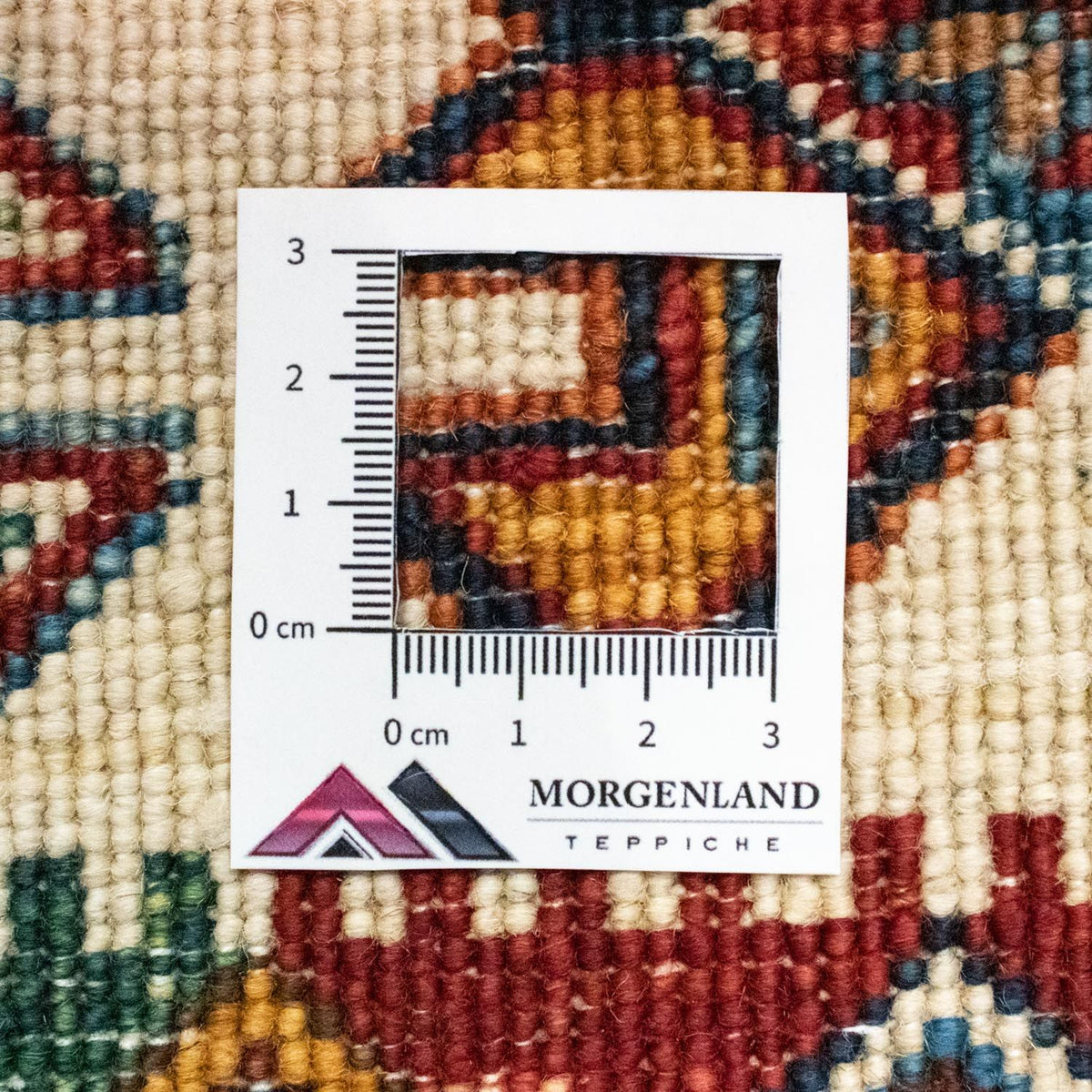 Alfombra Ziegler - 241 x 174 cm - multicolor