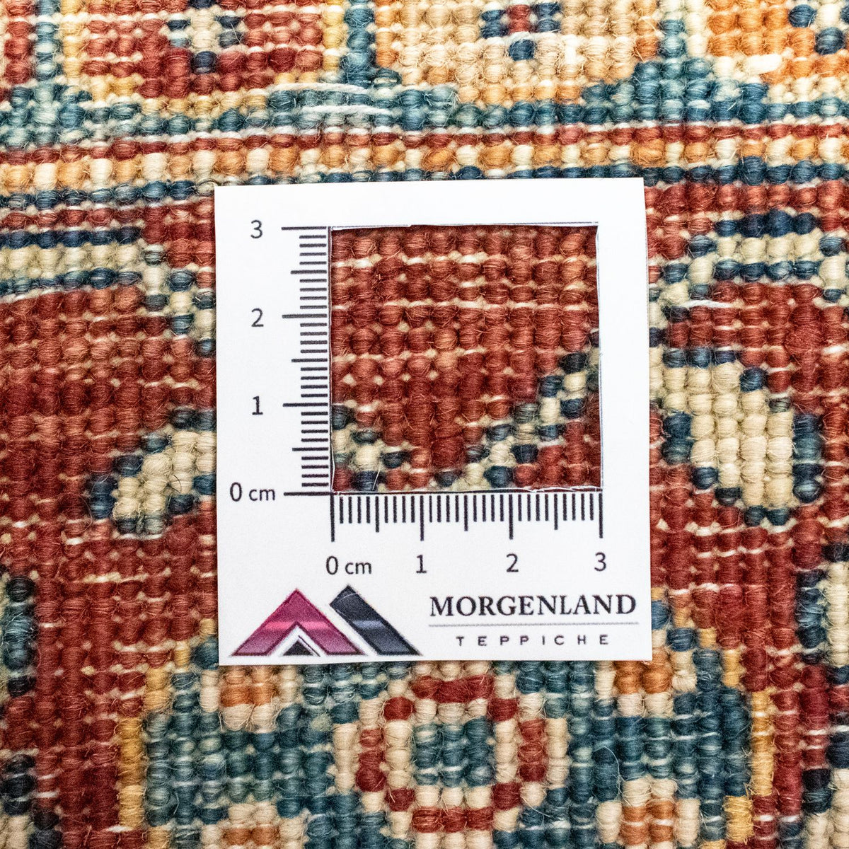 Alfombra Ziegler - 239 x 182 cm - colorido