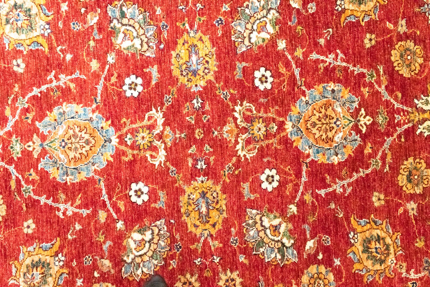 Alfombra Ziegler - 242 x 177 cm - rojo