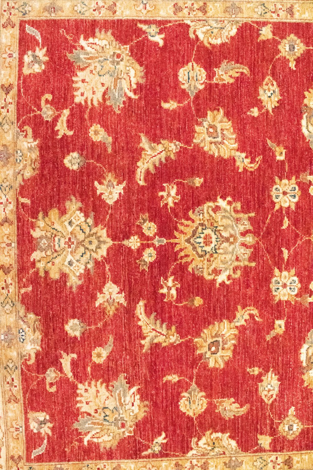 Alfombra Ziegler - 202 x 150 cm - rojo