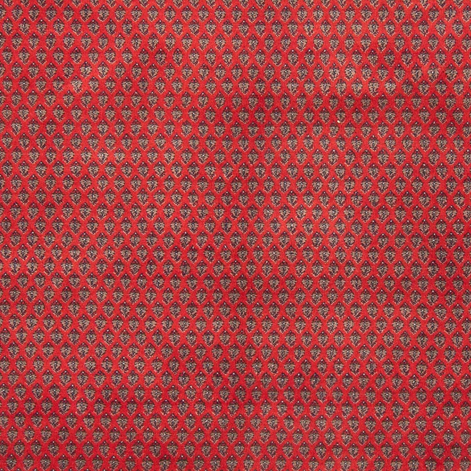 Alfombra oriental - Mir - Indus - 239 x 173 cm - rojo