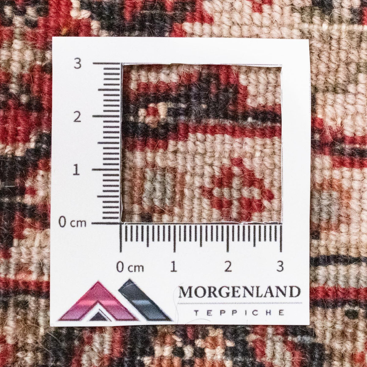 Alfombra persa - Bidjar - 163 x 92 cm - rojo