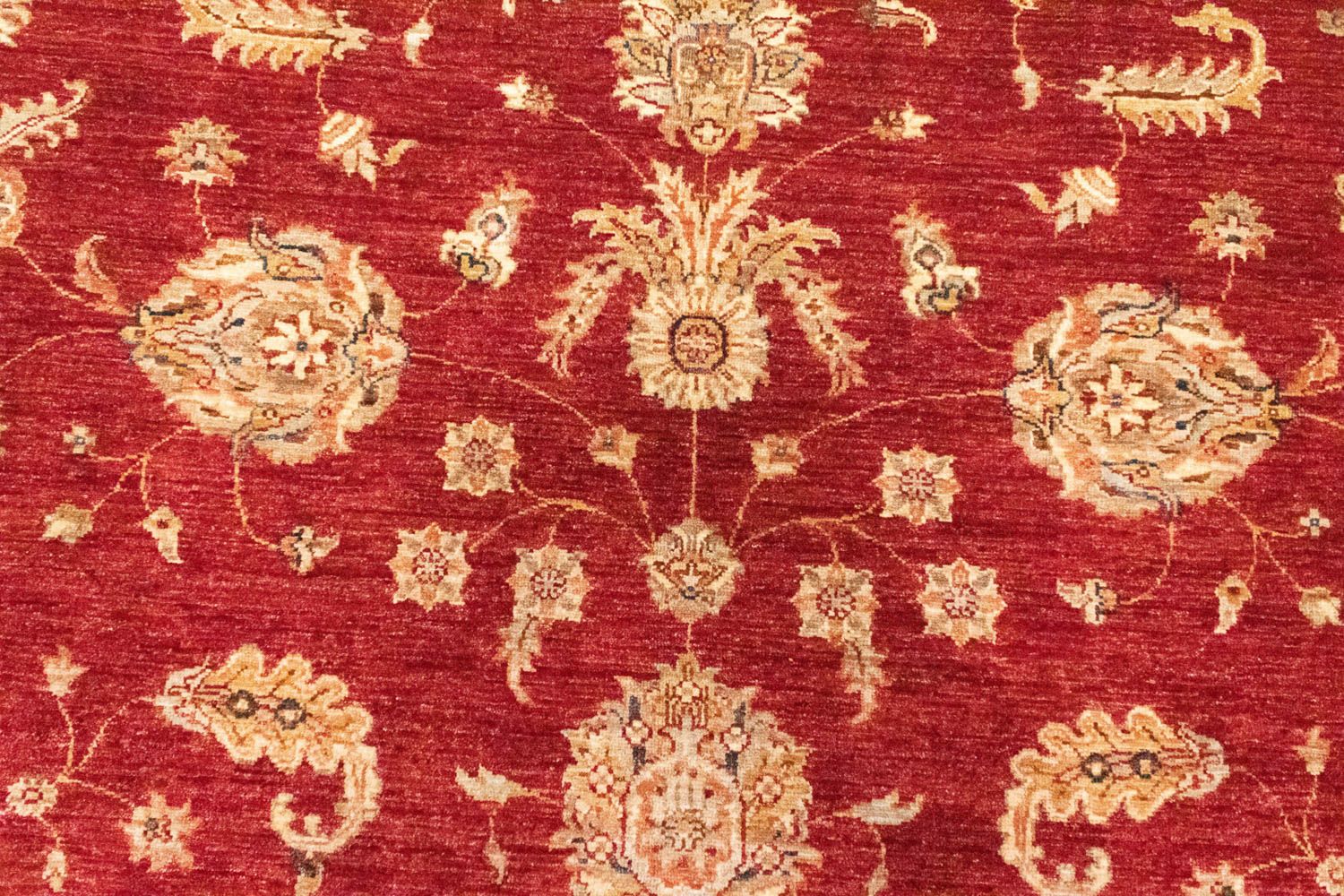 Alfombra Ziegler - 296 x 210 cm - rojo