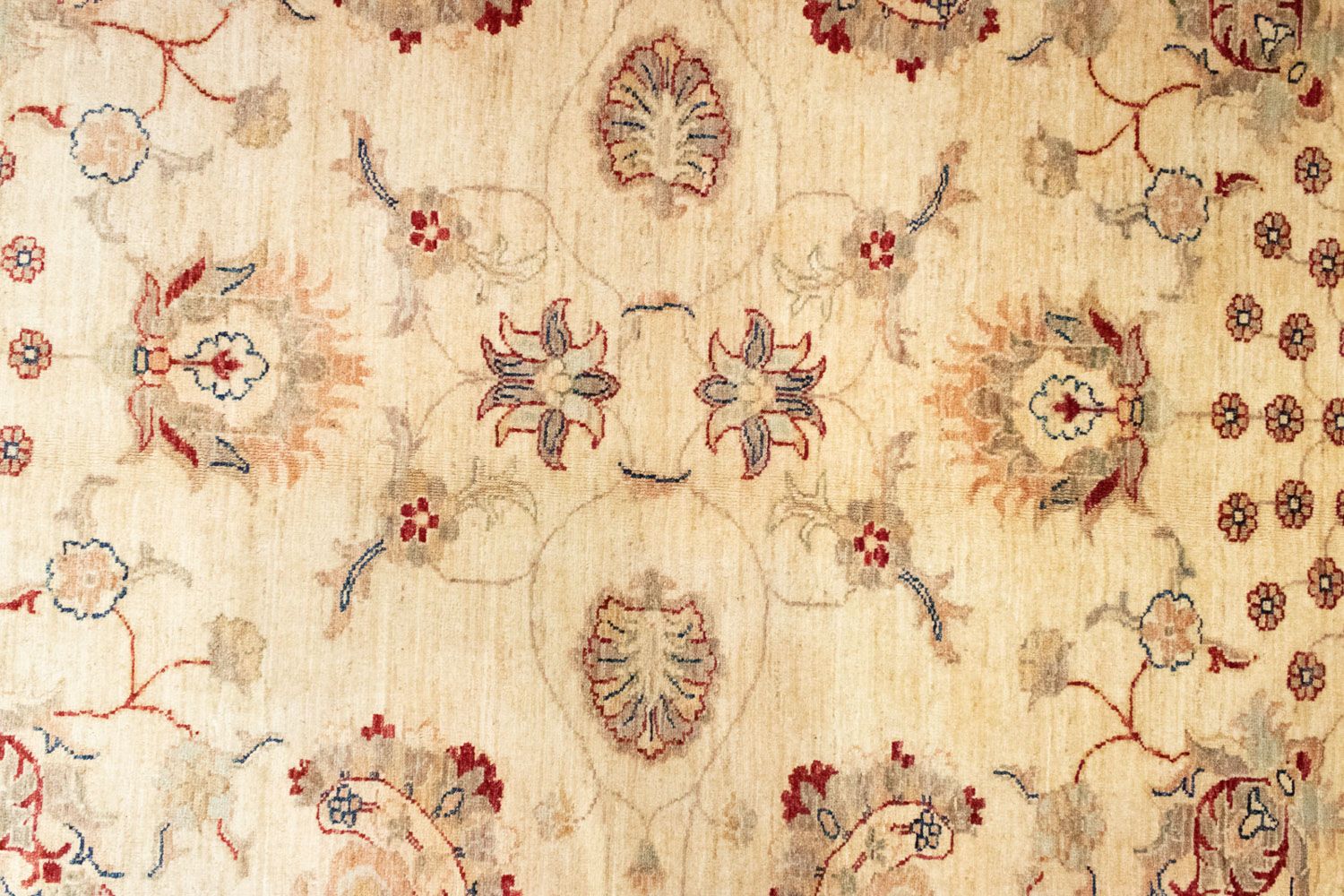 Alfombra Ziegler - 294 x 211 cm - beige