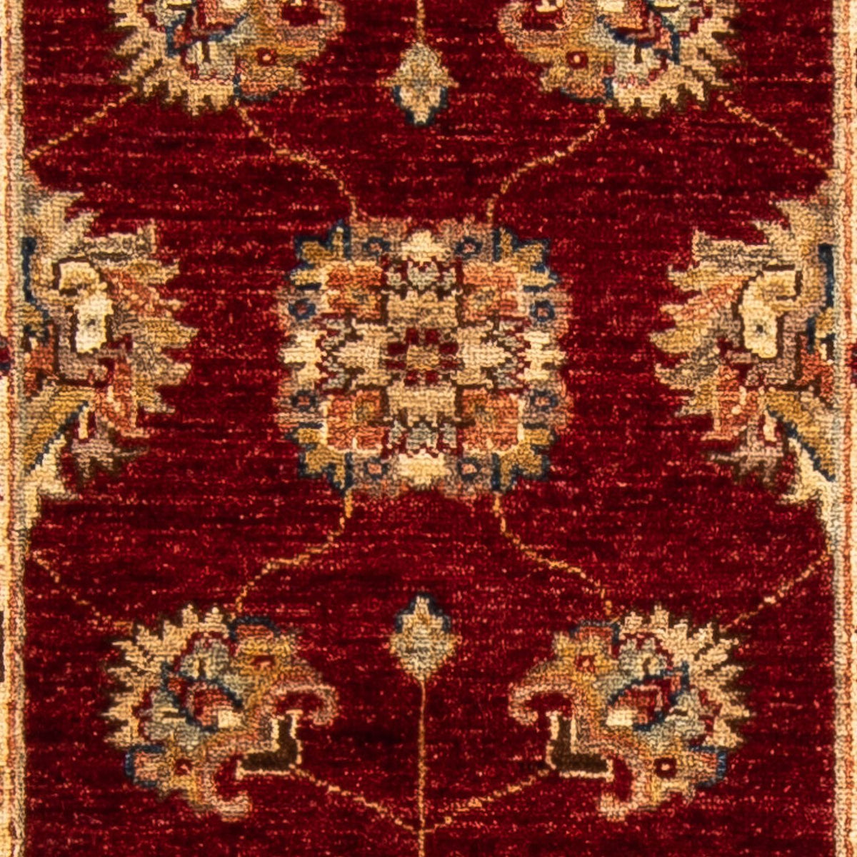 Alfombra de pasillo Alfombra Ziegler - 178 x 62 cm - rojo oscuro