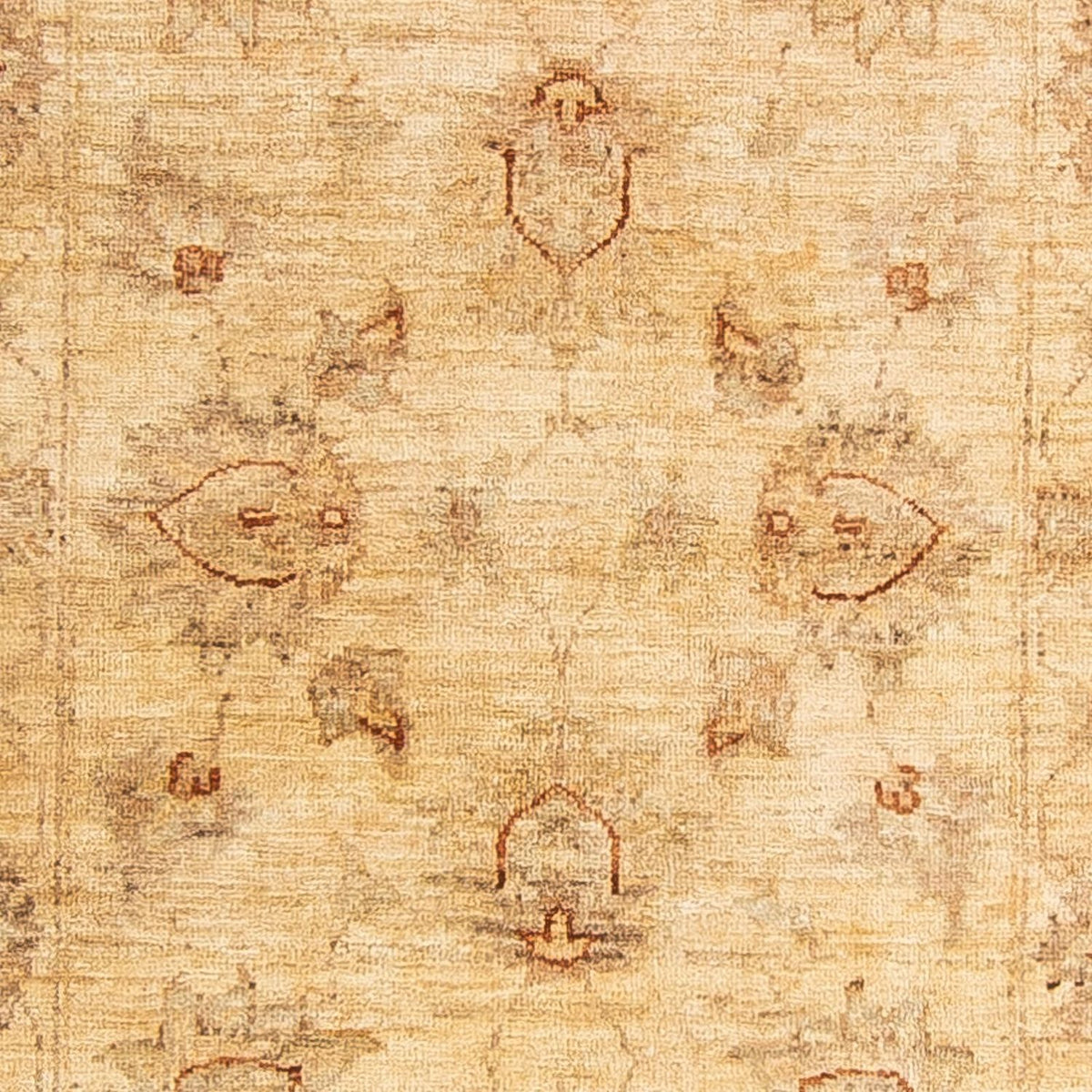 Alfombra de pasillo Alfombra Ziegler - 244 x 76 cm - beige claro