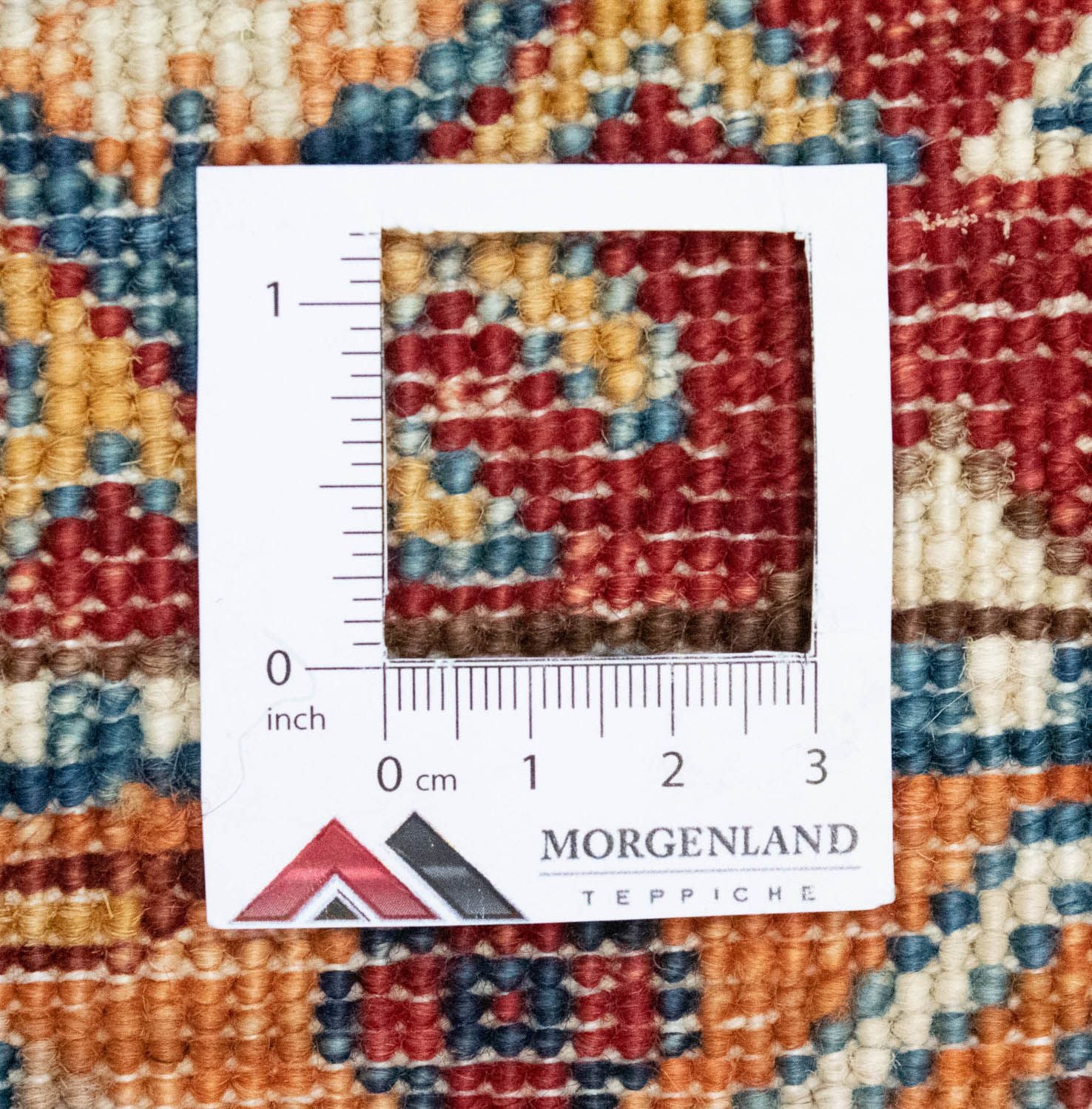 Alfombra Ziegler - 309 x 221 cm - multicolor