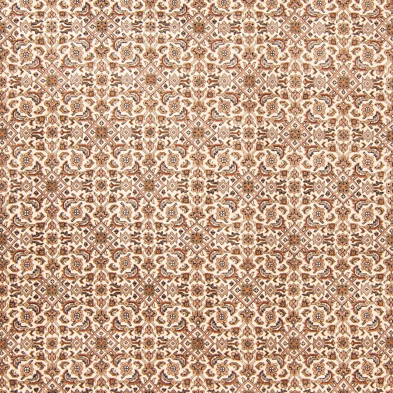 Alfombra oriental - Bidjar - Indus - 303 x 248 cm - beige