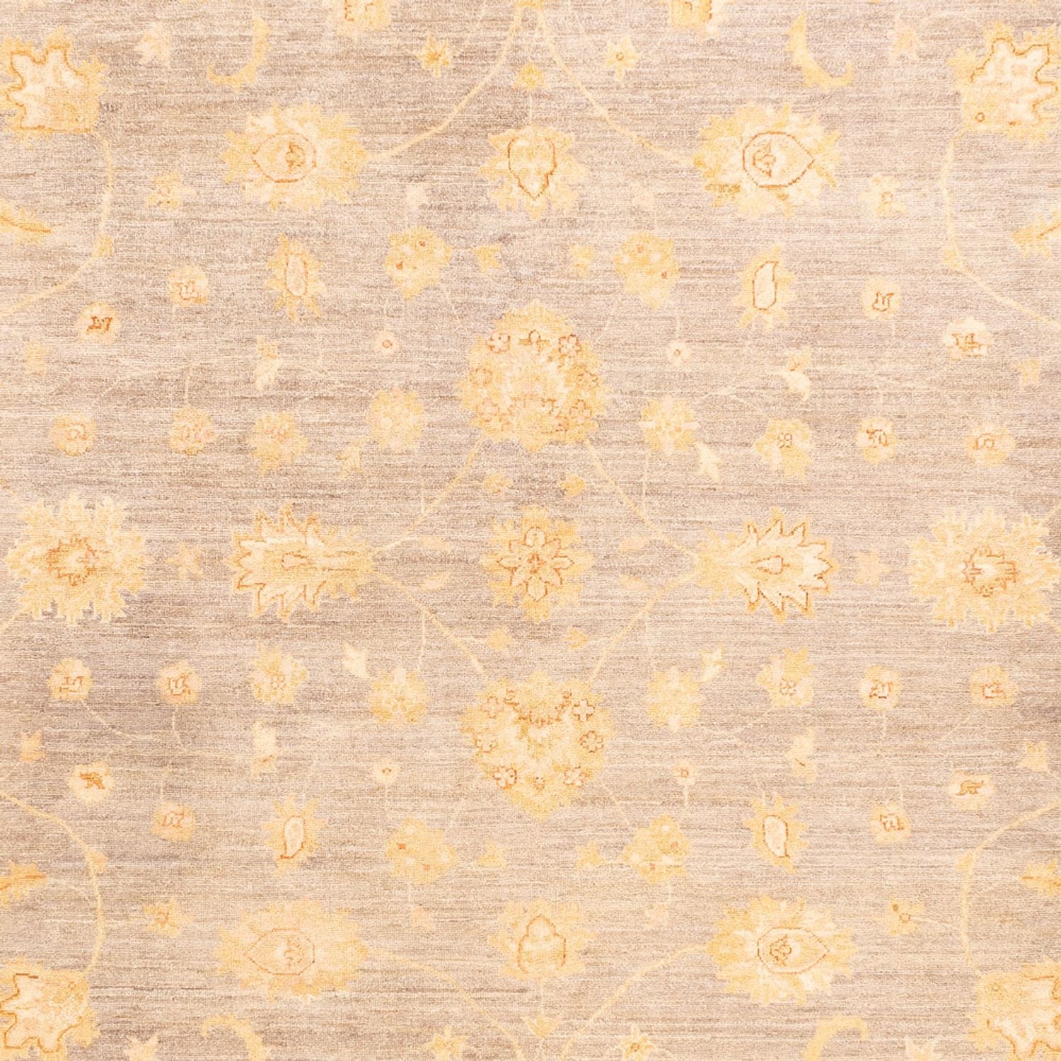 Alfombra Ziegler - 354 x 260 cm - beige