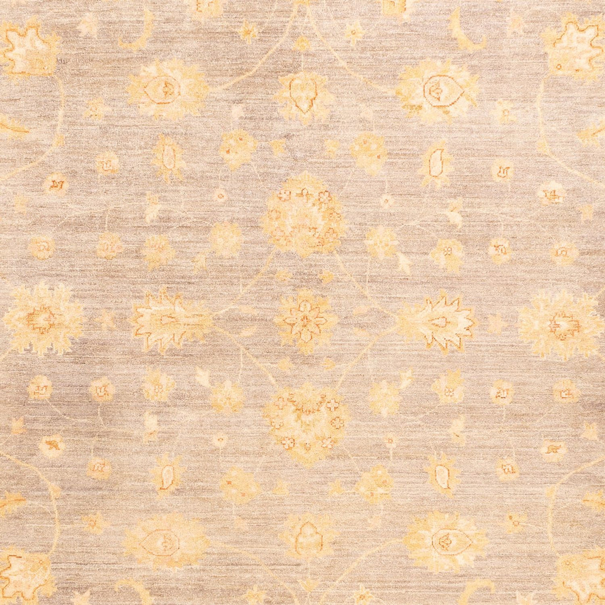 Alfombra Ziegler - 354 x 260 cm - beige