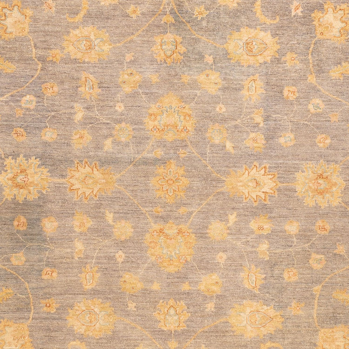 Alfombra Ziegler - 351 x 254 cm - beige