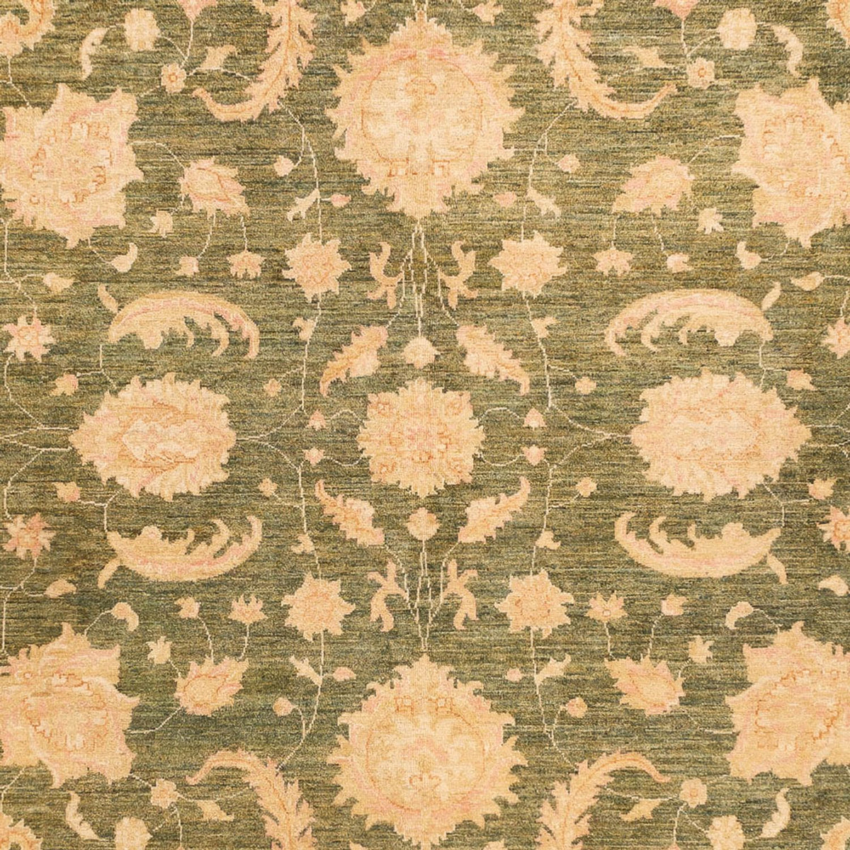 Alfombra Ziegler - 342 x 249 cm - beige