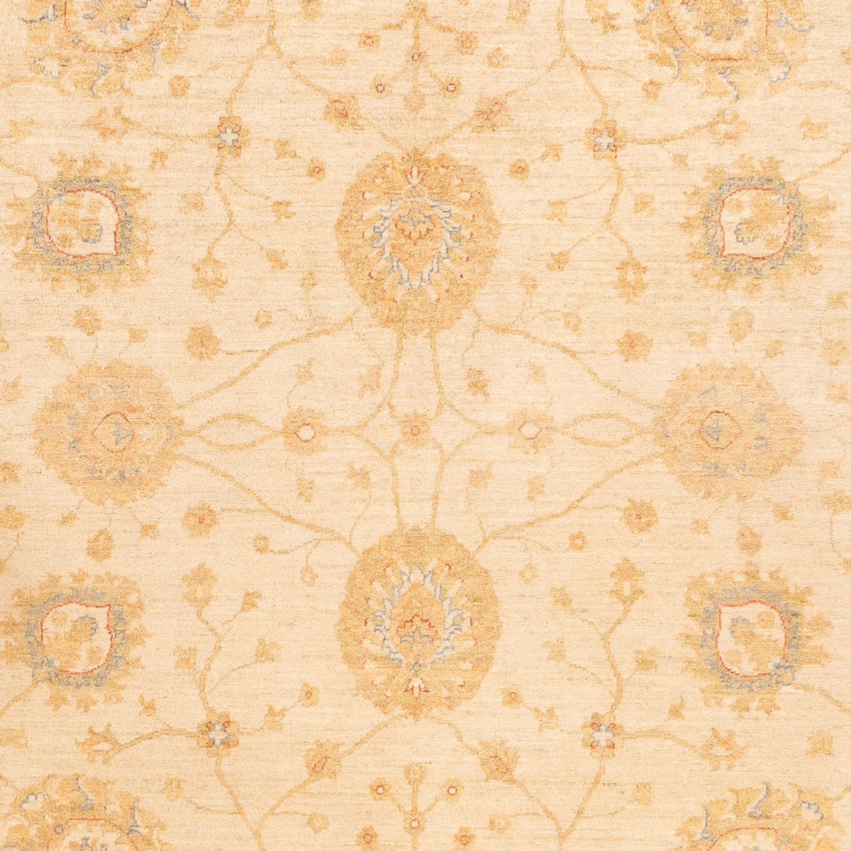 Alfombra Ziegler - 325 x 250 cm - beige