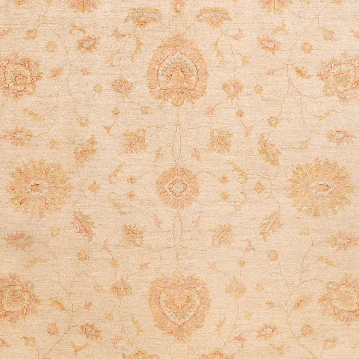 Alfombra Ziegler - 346 x 257 cm - beige