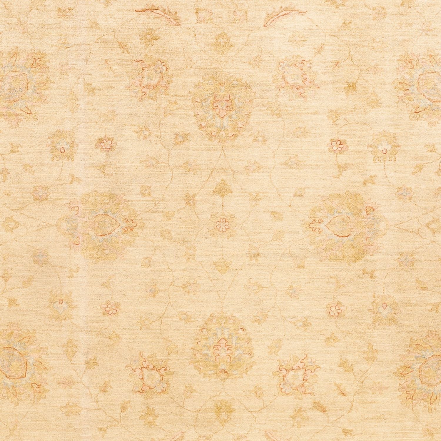 Alfombra Ziegler - 348 x 257 cm - beige