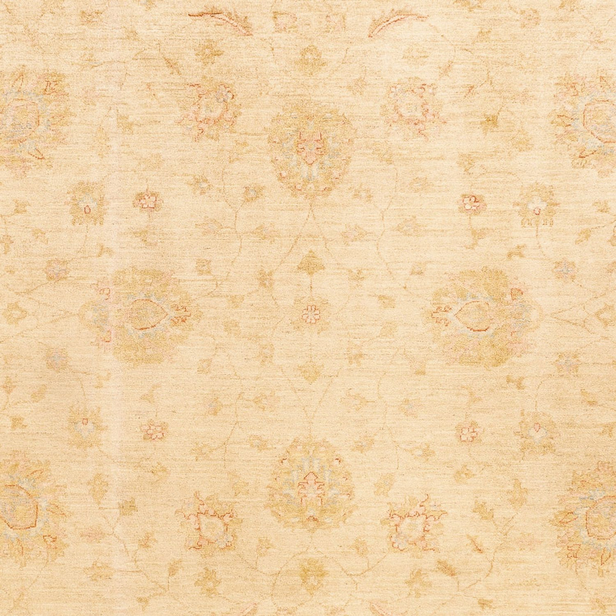 Alfombra Ziegler - 348 x 257 cm - beige