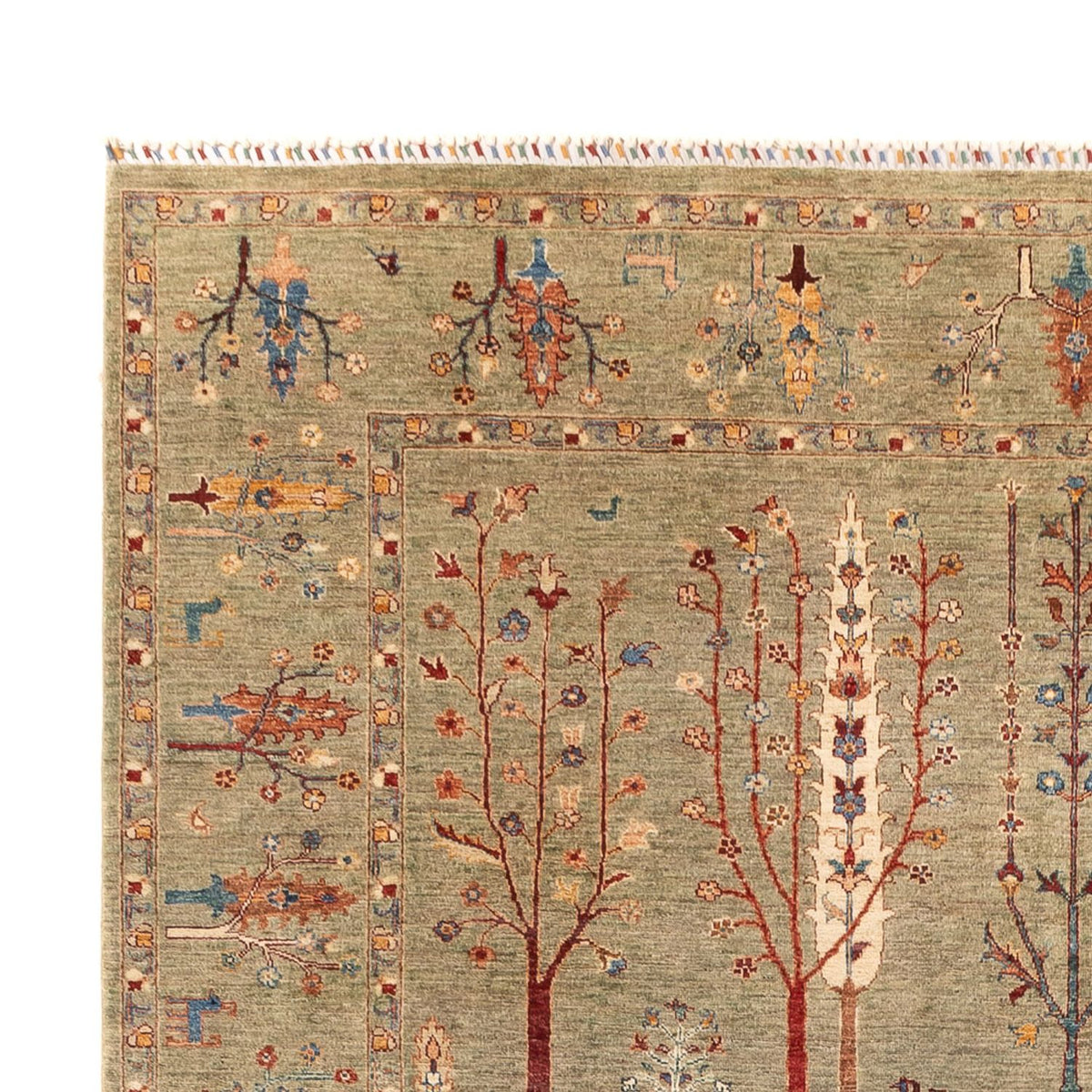 Alfombra Ziegler - Ariana - 339 x 245 cm - arena