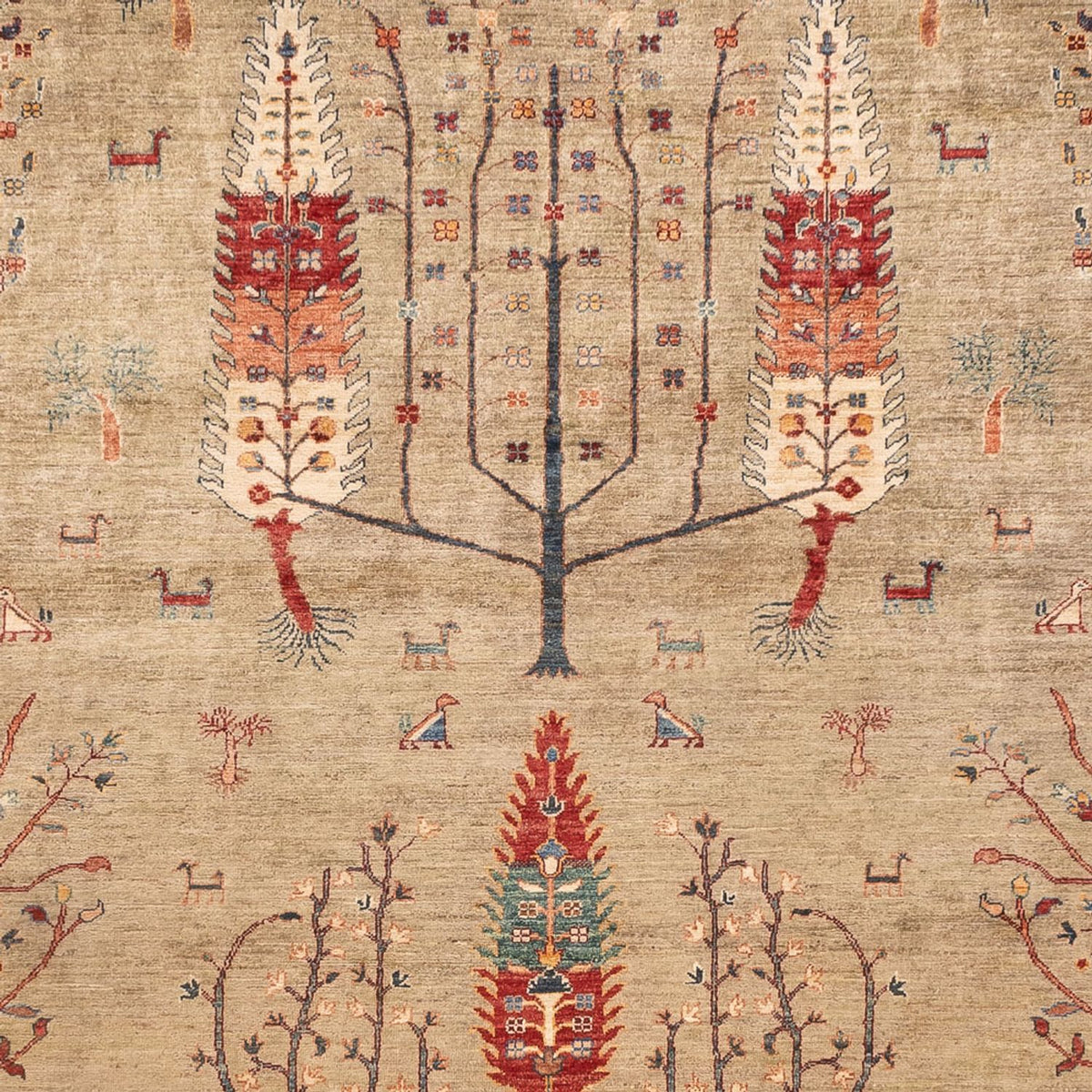 Alfombra Ziegler - Ariana - 342 x 246 cm - arena