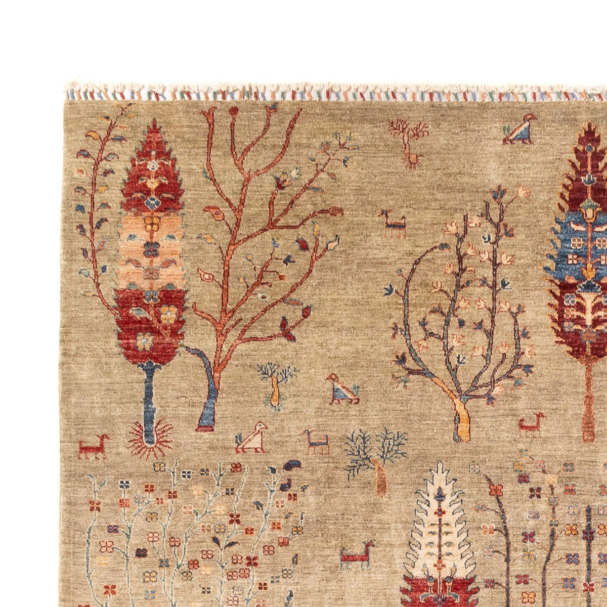 Alfombra Ziegler - Ariana - 342 x 246 cm - arena