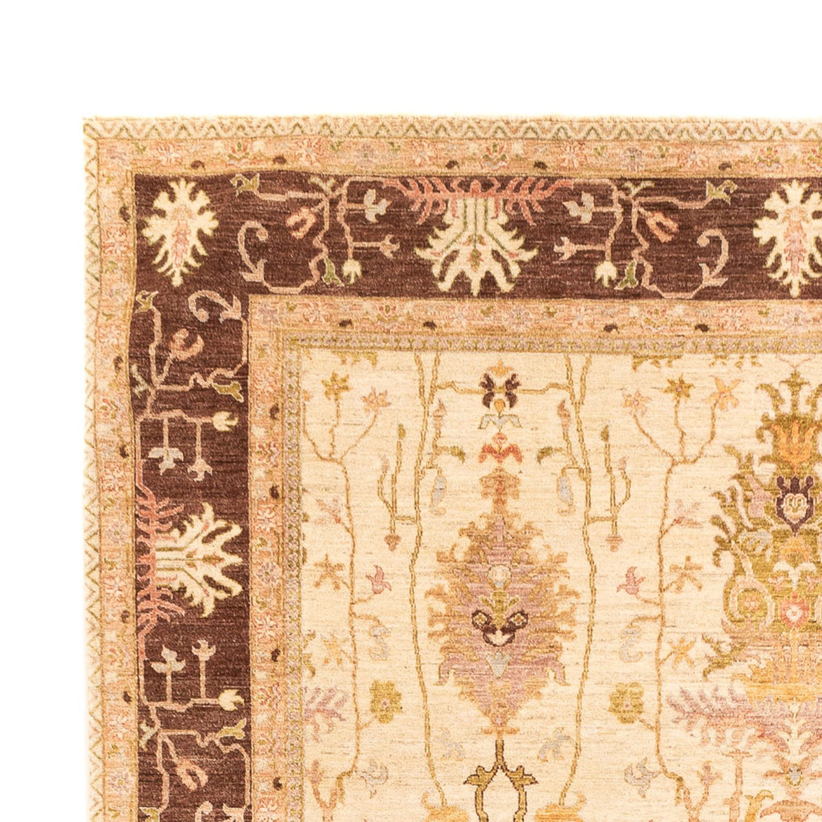 Alfombra Ziegler - Usak - 349 x 246 cm - beige