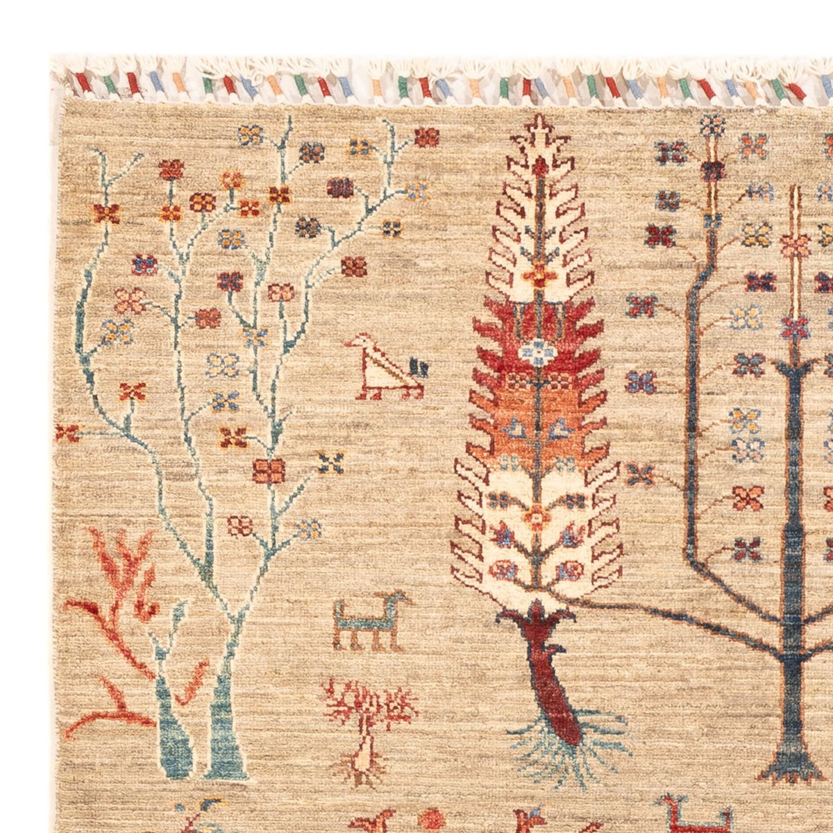 Alfombra Ziegler - Ariana - 178 x 122 cm - beige