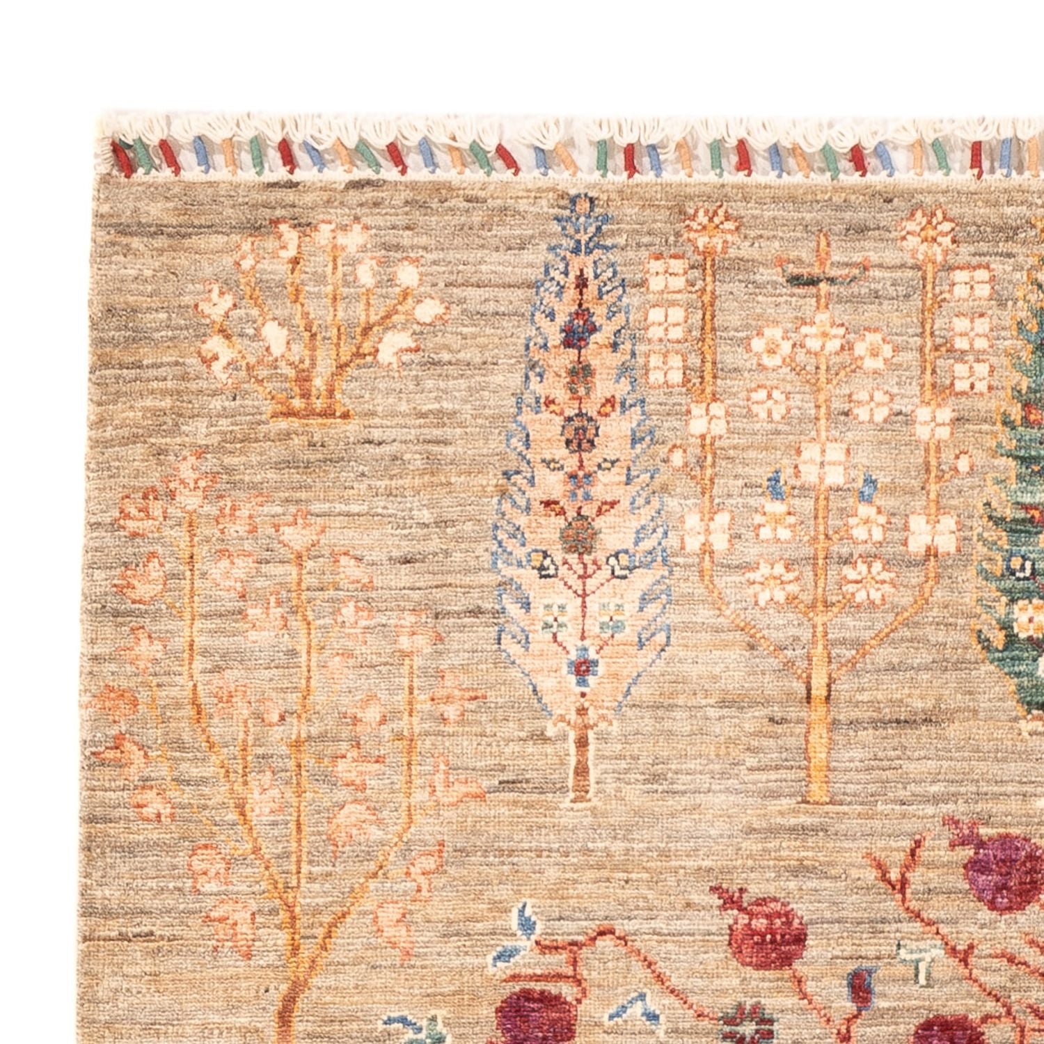 Alfombra Ziegler - Ariana - 177 x 122 cm - beige