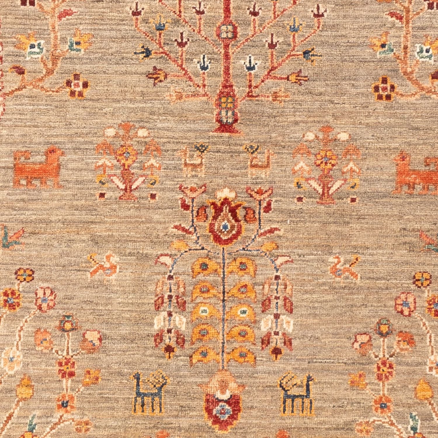 Alfombra Ziegler - Ariana - 172 x 117 cm - multicolor
