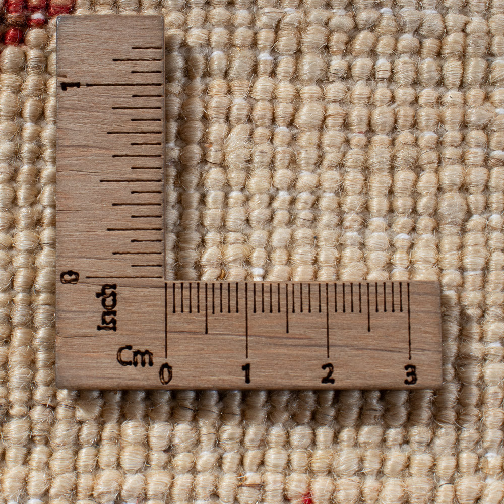 Alfombra Ziegler - Ariana - 299 x 209 cm - multicolor