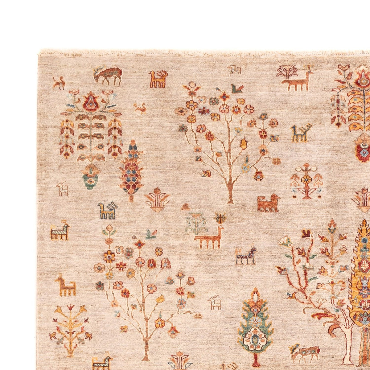 Alfombra Ziegler - Ariana - 292 x 204 cm - rosa